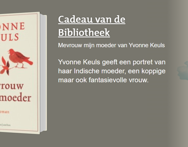 nederland leest boek cadeau bibliotheek hallum