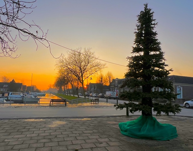 kerstboom kerst hallum opzetten verlichting vrijwilligers