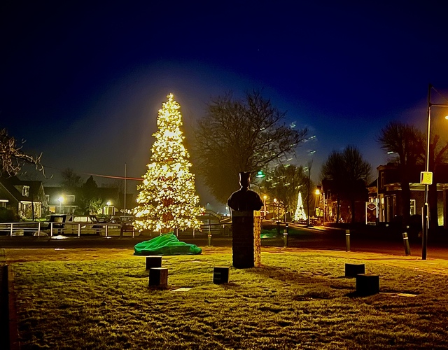 kerstboom kerst hallum opzetten verlichting vrijwilligers