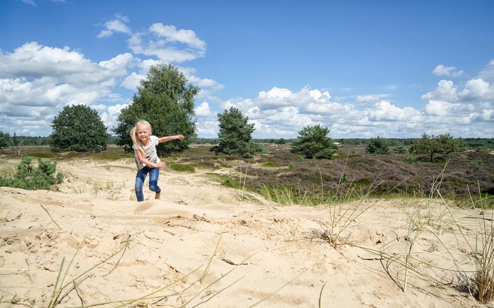 duinen zand bomen heide meisje visit wadden 