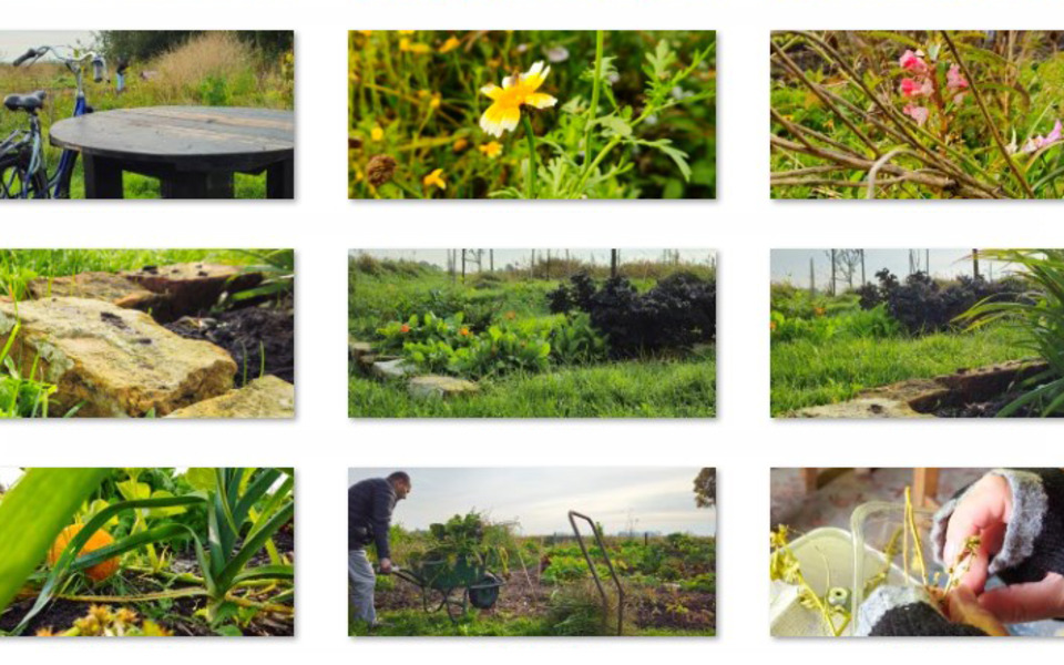 Ús griene ferbining, mei en foar elkoar, bijdragen aan onderlinge verbinding door ontmoeting en het bevorderen van een gezond en duurzaam leefklimaat.