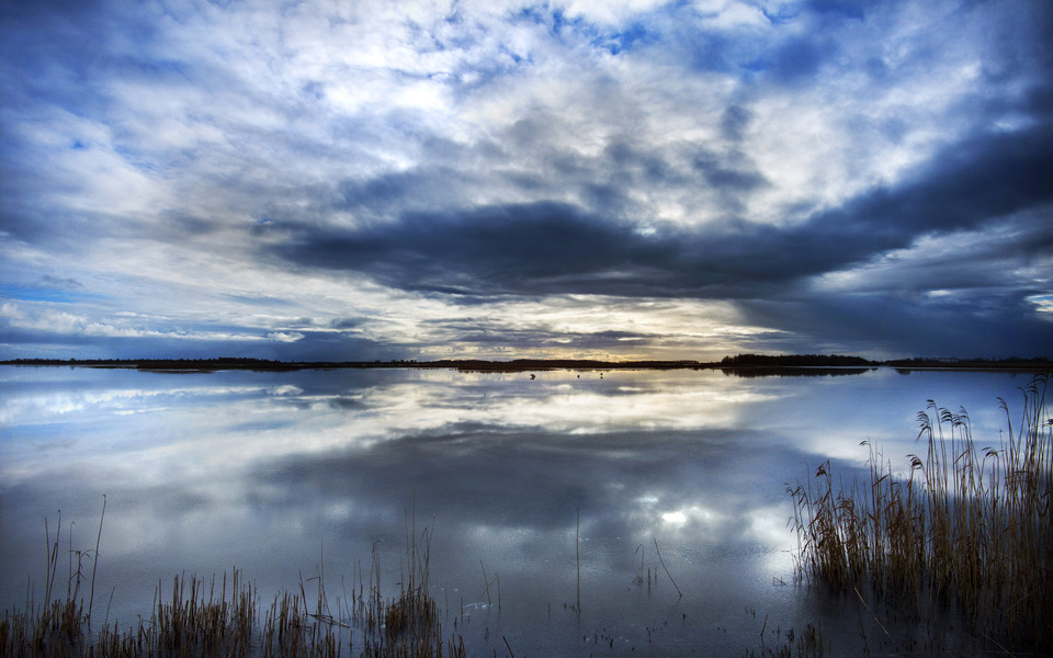 Knobbelzwanen slapen op het ijs bij de Ezumakeeg in het NP Lauwersmeer. FOTO: MARCEL VAN KAMMEN