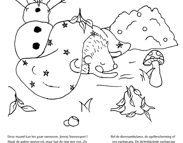 Creatieve Egelvriendjes egel tekening kleurplaat egels bloem kleuren voorbeeld opdrachten tips