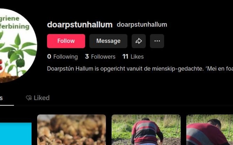 Profielpagina tiktok doarpstun hallum