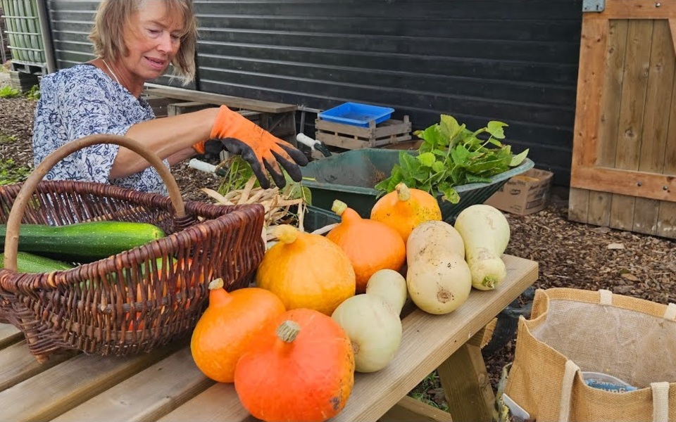 Filmanimatie Doarpstún Hallum De Hoeksteen Dankstond tuin groente verbinding samen