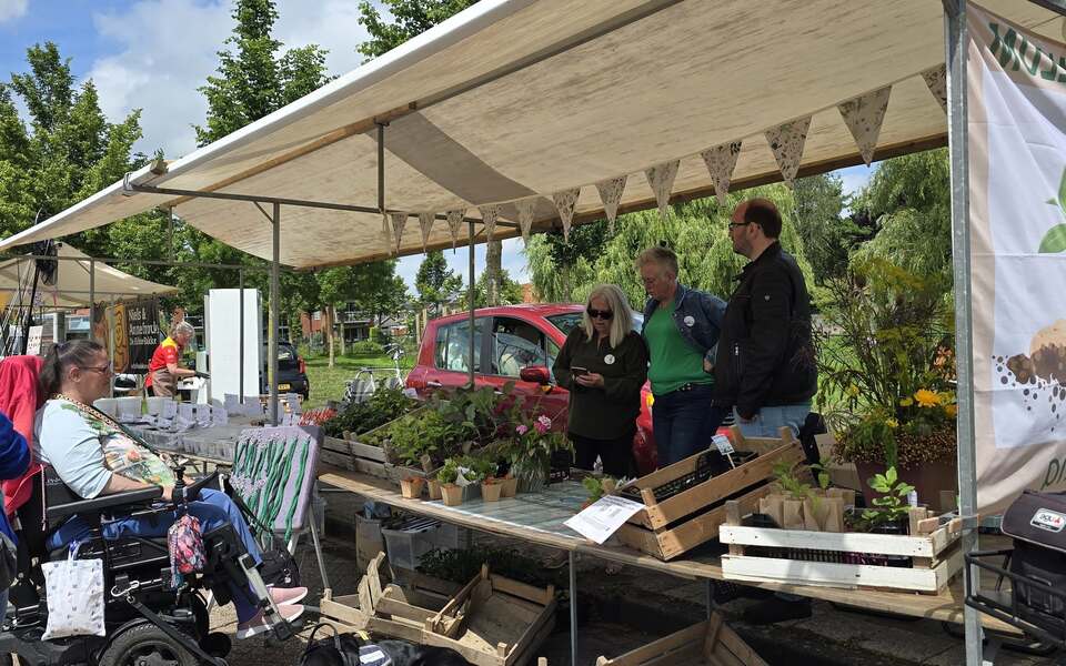 Vrijwilligers van Doarpstûn Hallum presenteren hun stand op de Duurzaamheidsmarkt 2025, omringd door planten, zaden en tuintips voor een groener dorp.