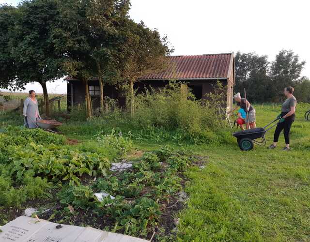 Doarpstún Hallum met hok en vrijwilligers aan het werk in de tuin met gewassen en een paar bomen