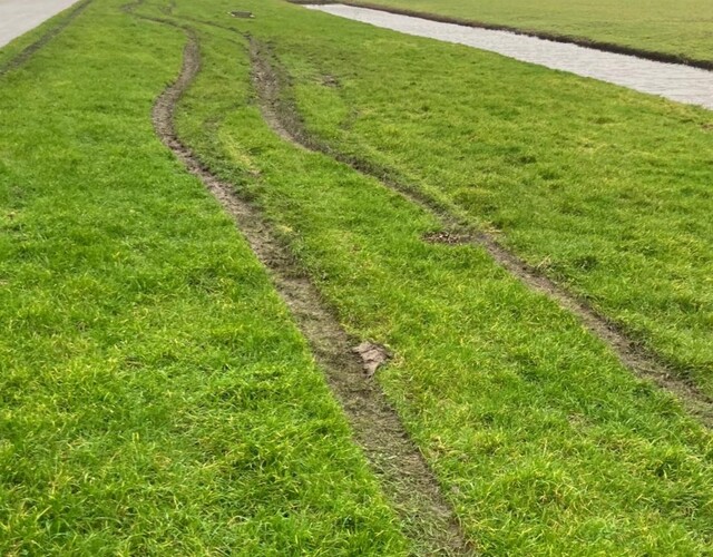 Crosssporen in de bermen van de dijk tussen Ferwert en Marrum