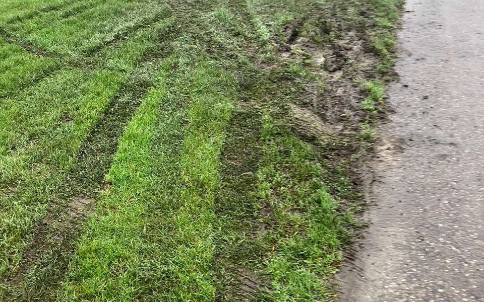 Crosssporen in en bij de dijk bij Ferwert
