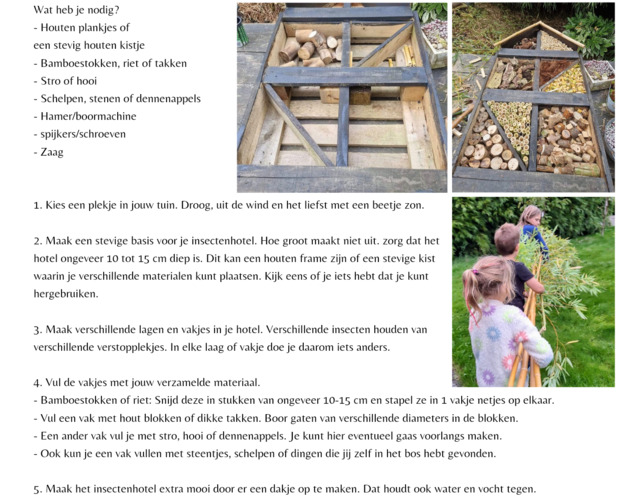 Creatieve Egelvriendjes egel tekening kleurplaat egels bloem kleuren voorbeeld opdrachten tips