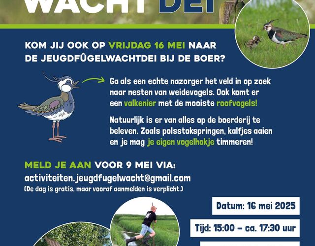 Flyer Fugelwacht Hallum, Marrum, Ferwert, Blije e.o. weidevogels vogels vogel spotten kijken bij de boer polsstokspringen gras grutto op paal