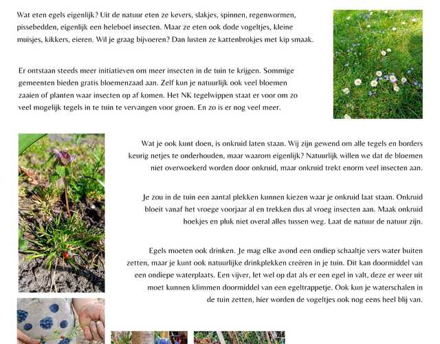Creatieve Egelvriendjes egel tekening kleurplaat egels bloem kleuren voorbeeld opdrachten tips