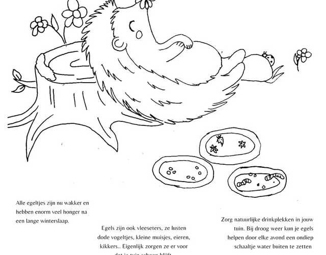 Creatieve Egelvriendjes egel tekening kleurplaat egels bloem kleuren voorbeeld opdrachten tips paddenstoel blaadjes