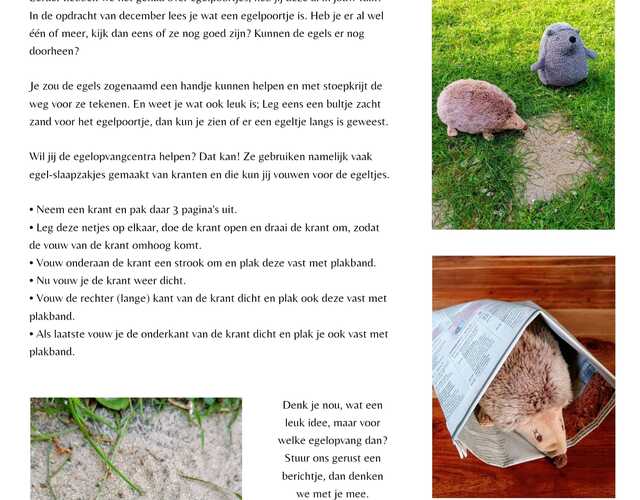 Creatieve Egelvriendjes egel tekening kleurplaat egels bloem kleuren voorbeeld opdrachten tips Kleurplaat juni bladeren groen slapen egel stikelbaarch tuin gras bladeren