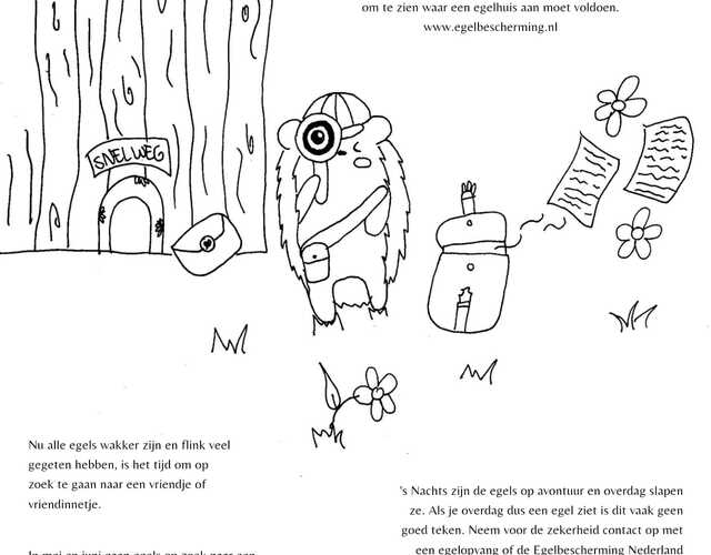 Creatieve Egelvriendjes egel tekening kleurplaat egels bloem kleuren voorbeeld opdrachten tips Kleurplaat juni bladeren groen slapen egel stikelbaarch tuin gras bladeren
