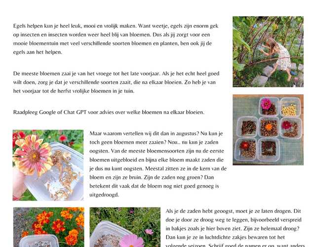 Creatieve Egelvriendjes egel tekening kleurplaat egels bloem kleuren voorbeeld opdrachten tips Kleurplaat augustus bladeren groen slapen egel stikelbaarch tuin gras bladeren