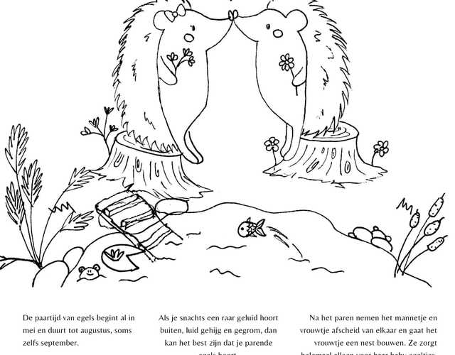 Creatieve Egelvriendjes egel tekening kleurplaat egels bloem kleuren voorbeeld opdrachten tips Kleurplaat augustus bladeren groen slapen egel stikelbaarch tuin gras bladeren