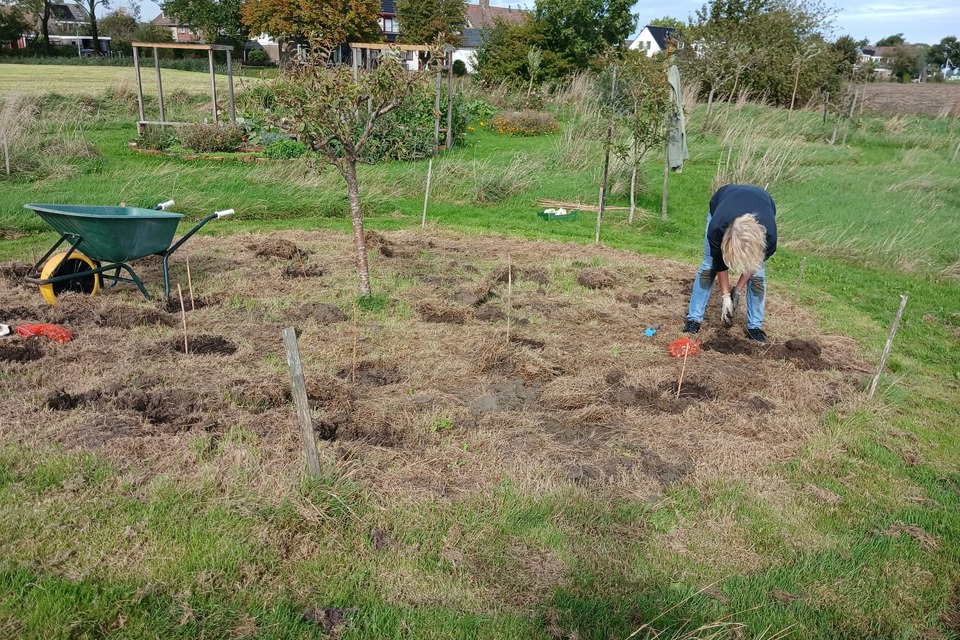 Extra foto's van Mattie van afgelopen donderdag 01-10-2026