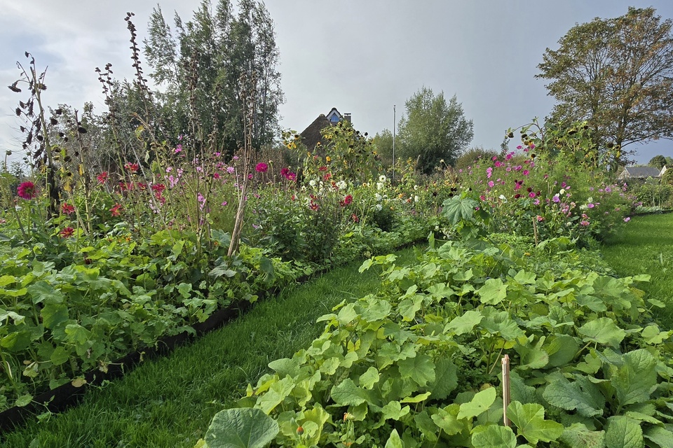 Vanochtend met Dimitri op de dorpstuin ‧ 10-10-2026
