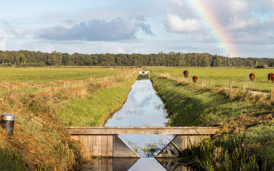 Herfstlandschap in Fryslân met sloot en een regenboog boven het water, omgeven door bomen en natuur
