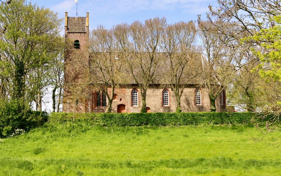 Eeuwenoude kerk op de terp van Hegebeintum, omringd door bomen en groen landschap op de hoogste terp van Nederland.