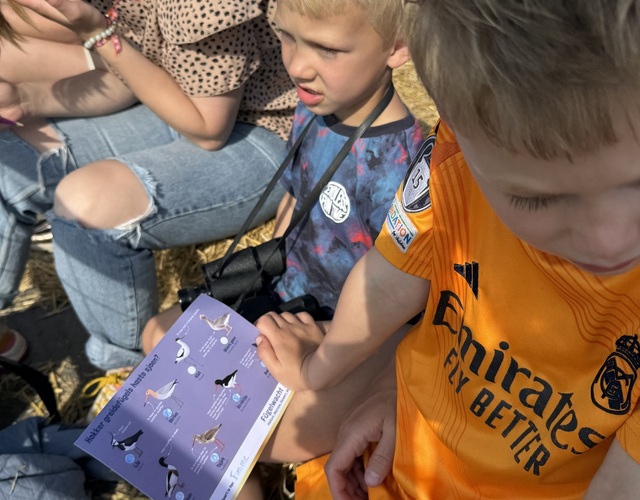 Kinderen bekijken een vogelzoekkaart tijdens een educatieve activiteit van de Jeugdfûgelwachtdei 2026.