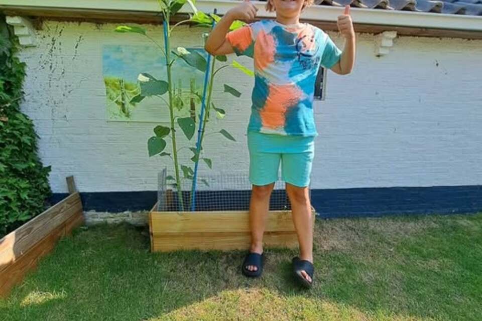 02-07-2026 - Jurryt zijn zonnebloemen