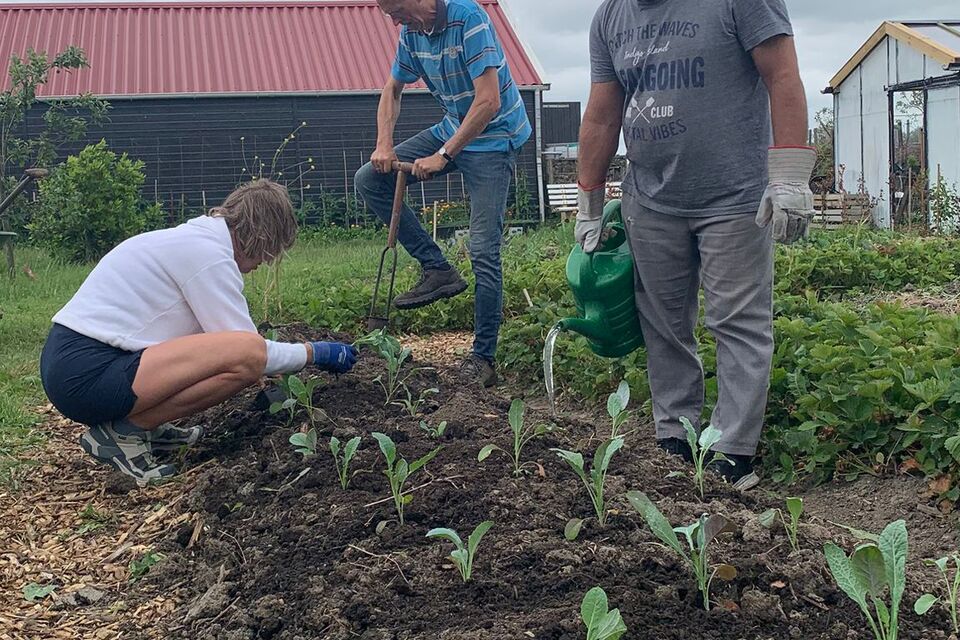 Vanochtend op de dorpstuin met Wietske ‧ 04-07-2026