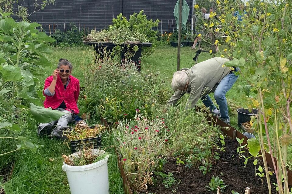 Vanochtend op de dorpstuin met Wietske ‧ 04-07-2026