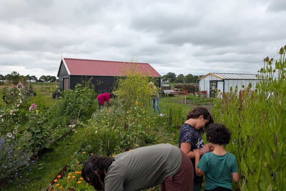 Vanochtend op de dorpstuin met Espen & Vivian ‧ 04-07-2026