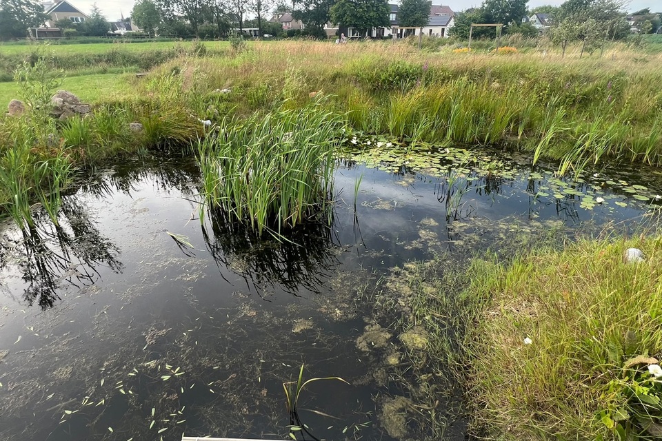 Vanavond op de dorpstuin met Haye ‧ 06-07-2026