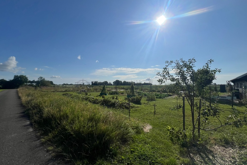 Vanochtend op de dorpstuin met Haye ‧ 01-08-2026