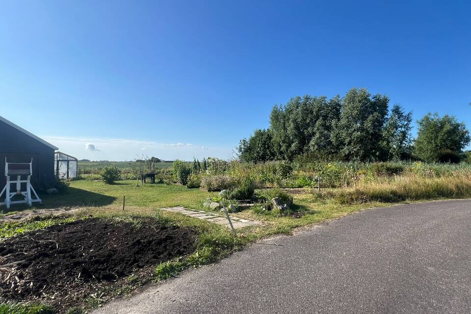 Vanochtend op de dorpstuin met Haye ‧ 01-08-2026