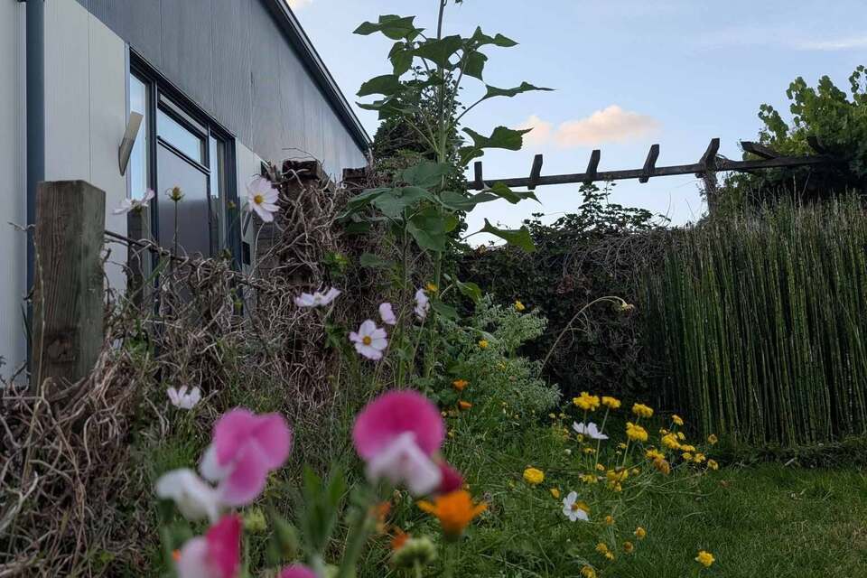 13-08-2026 - Nieuwe UPDATE van Espen en Lumen!
