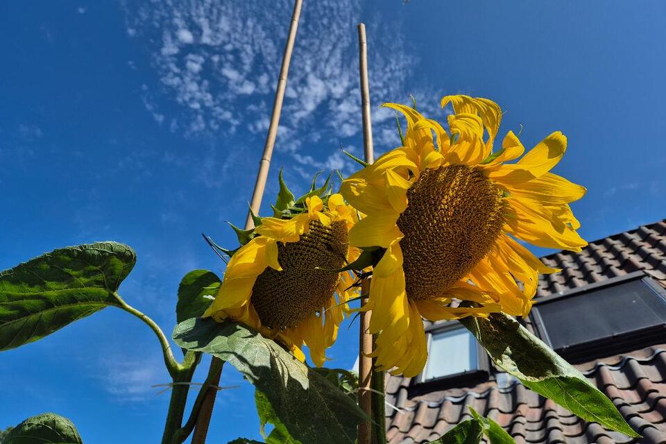 13-08-2026 - Nieuwe UPDATE van Jurryt!