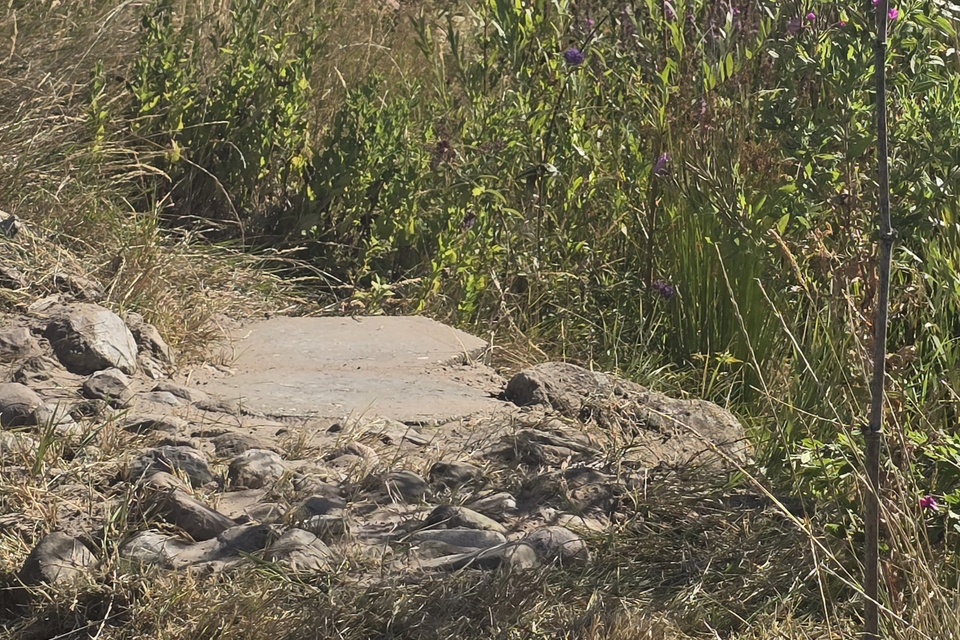 Vanochtend met Dimitri op de dorpstuin ‧ 13-08-2026