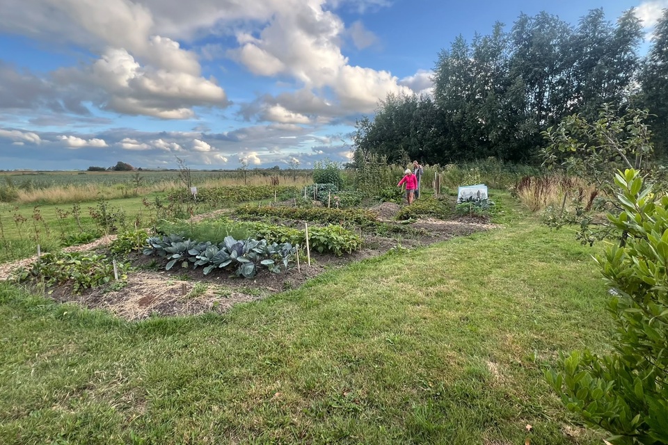 Vanavond met Haye op de dorpstuin ‧ 17-08-2026
