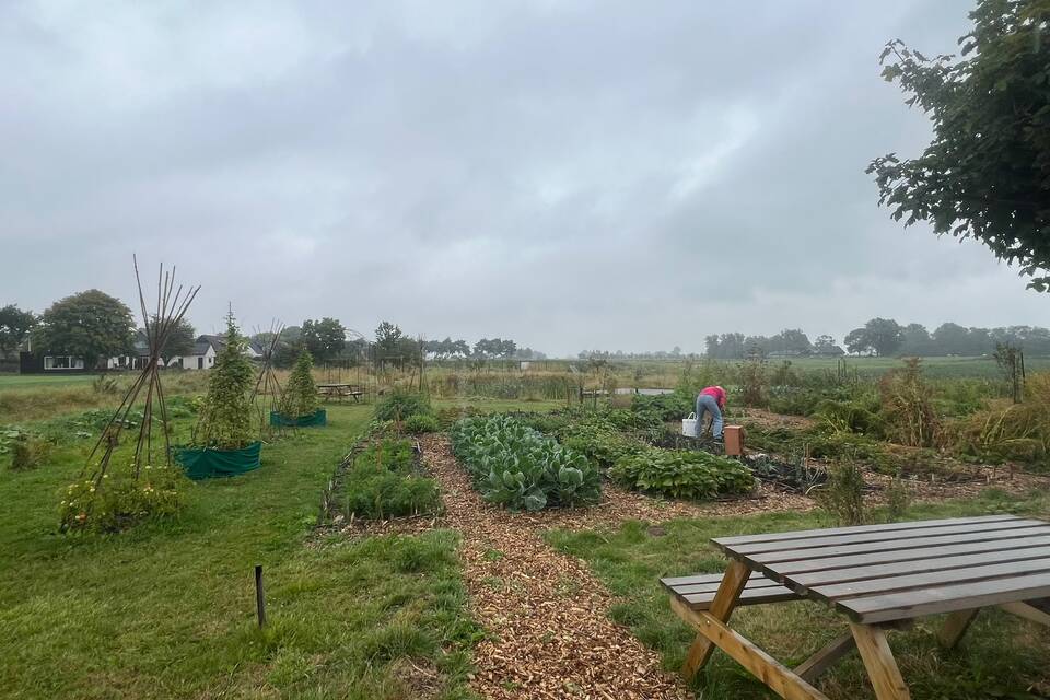 Vanmiddag met Haye op de dorpstuin ‧ 18-08-2026