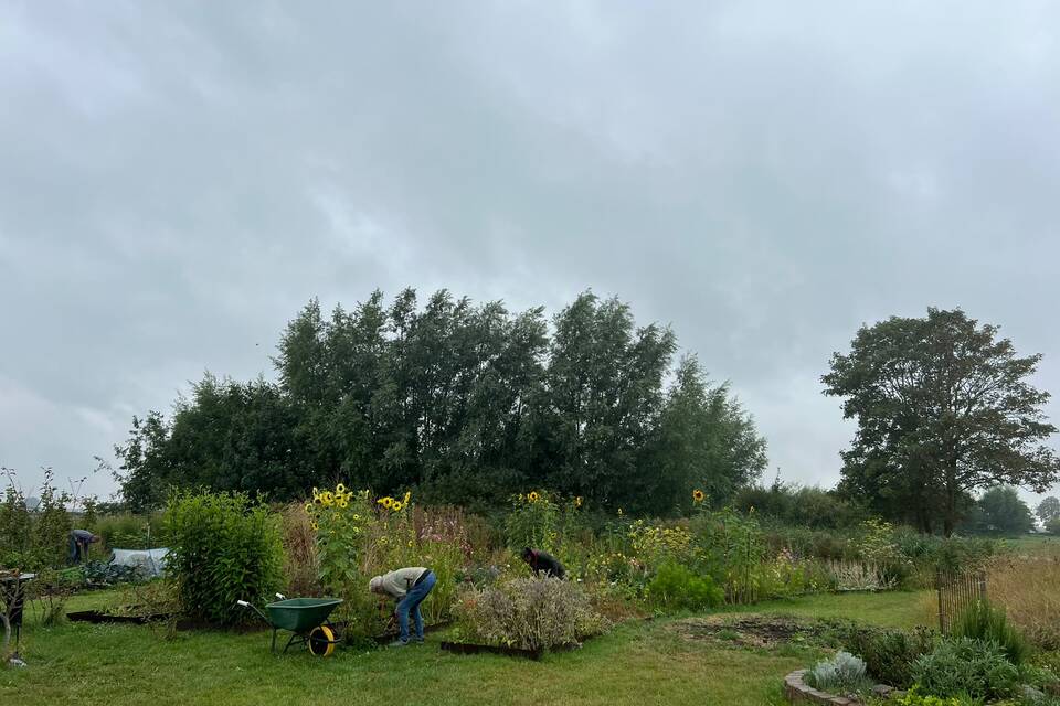 Vanmiddag met Haye op de dorpstuin ‧ 18-08-2026