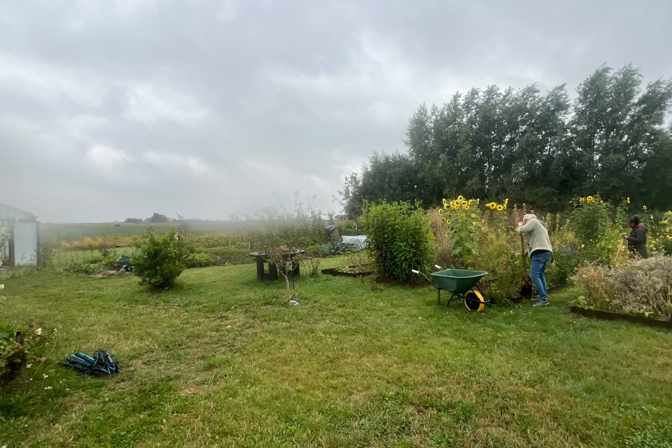 Vanmiddag met Haye op de dorpstuin ‧ 18-08-2026
