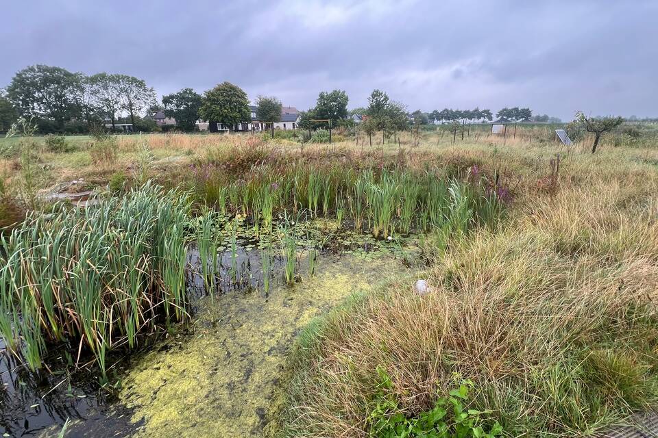 Vanmiddag met Haye op de dorpstuin ‧ 18-08-2026