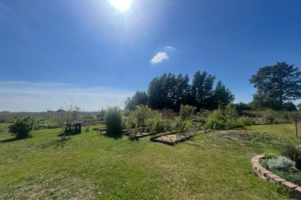 Vanmiddag met Haye op de dorpstuin ‧ 18-08-2026