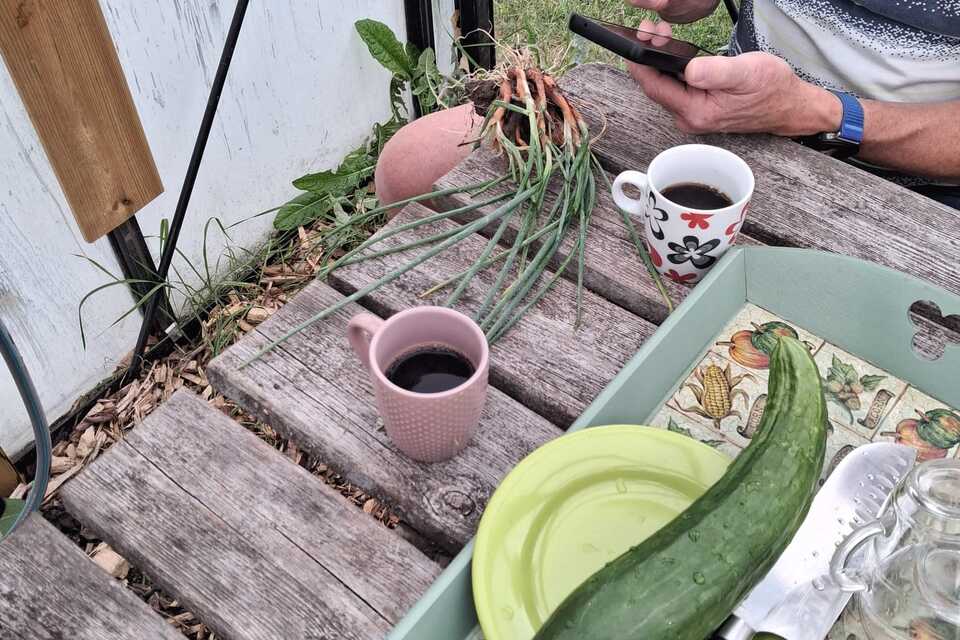Vanmiddag met Pieter op de dorpstuin ‧ 27-08-2026