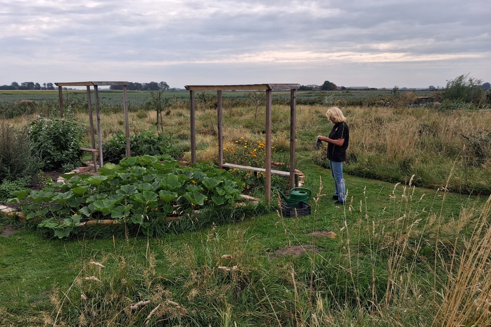 Vanmiddag met Pieter op de dorpstuin ‧ 27-08-2026