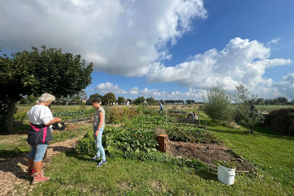 Vanochtend met Haye op de dorpstuin ‧ 29-08-2026