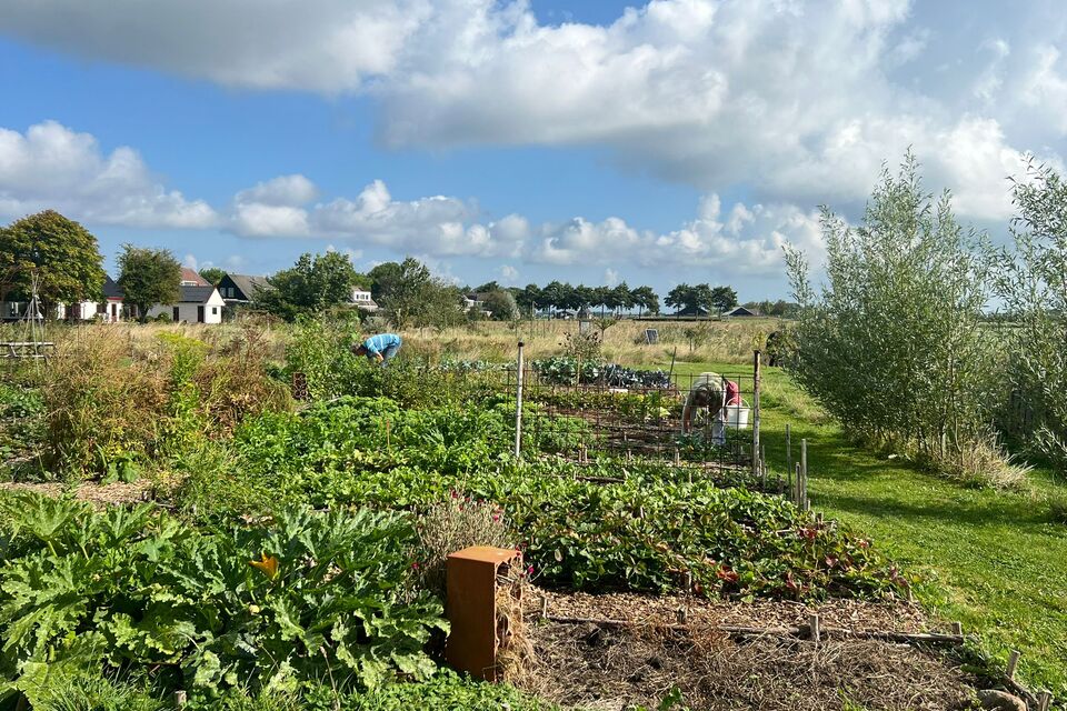 Vanochtend met Haye op de dorpstuin ‧ 29-08-2026