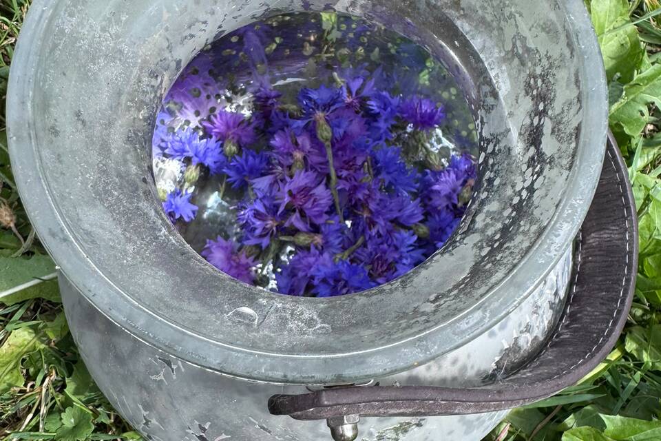 Vanmiddag op de tuin met Lena op de dorpstuin ‧ 06-08-2026