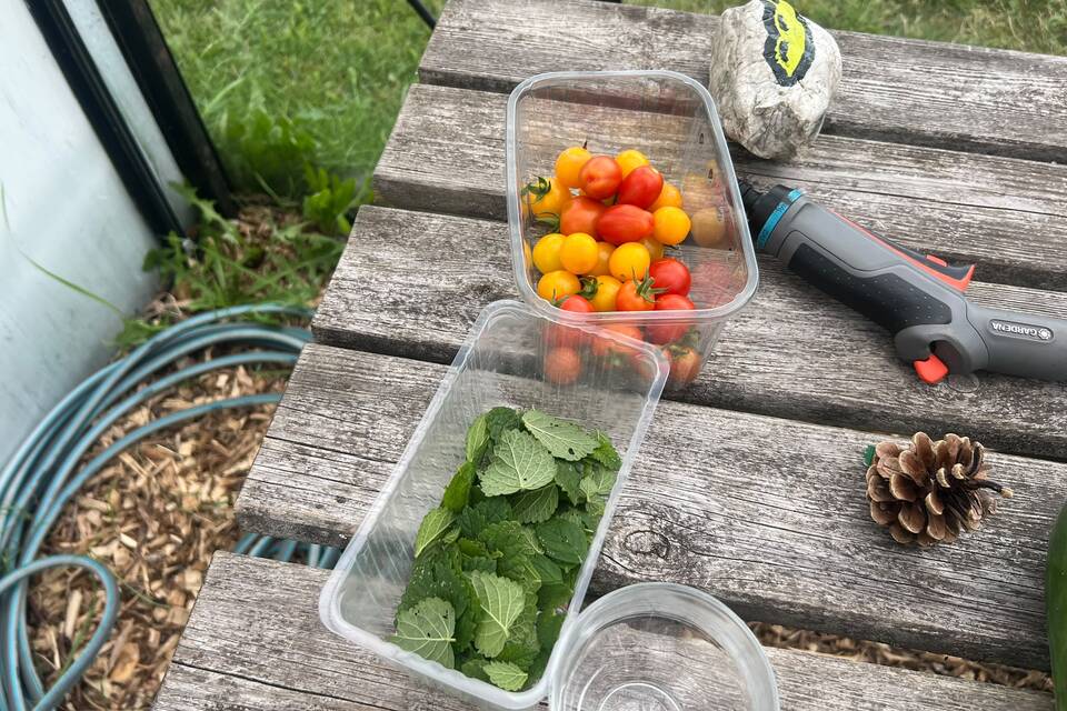Vanmiddag op de tuin met Haye op de dorpstuin ‧ 06-08-2026