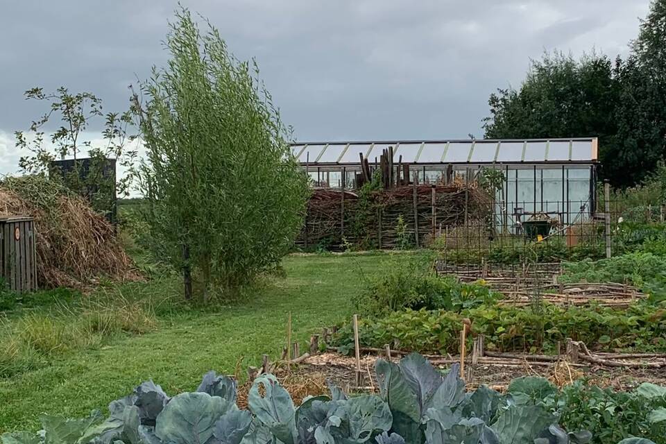 Vanmiddag op de tuin met Wietske op de dorpstuin ‧ 06-08-2026