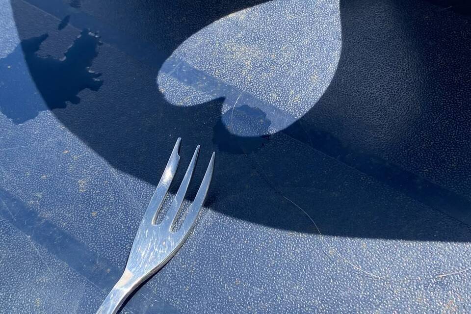 Vanmiddag op de tuin met Wietske op de dorpstuin ‧ 06-08-2026